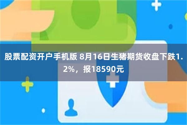 股票配资开户手机版 8月16日生猪期货收盘下跌1.2%，报18590元