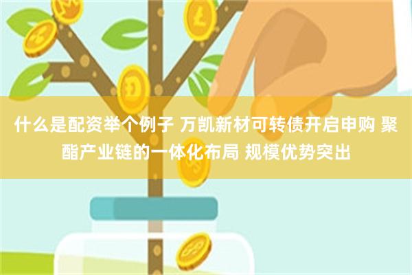 什么是配资举个例子 万凯新材可转债开启申购 聚酯产业链的一体化布局 规模优势突出