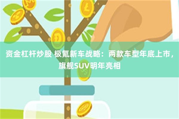 资金杠杆炒股 极氪新车战略：两款车型年底上市，旗舰SUV明年亮相