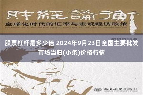 股票杠杆是多少倍 2024年9月23日全国主要批发市场当归(小条)价格行情