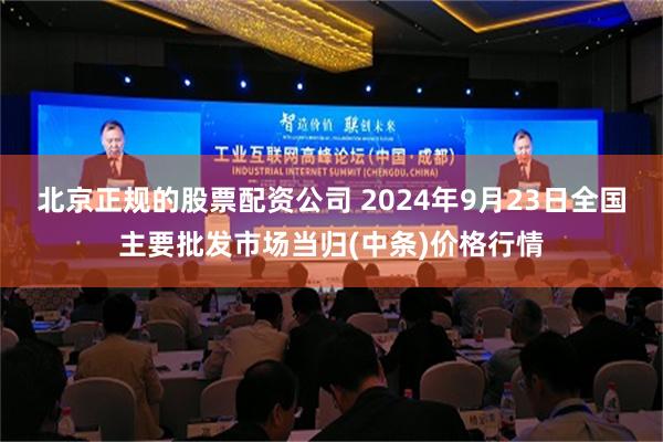 北京正规的股票配资公司 2024年9月23日全国主要批发市场当归(中条)价格行情