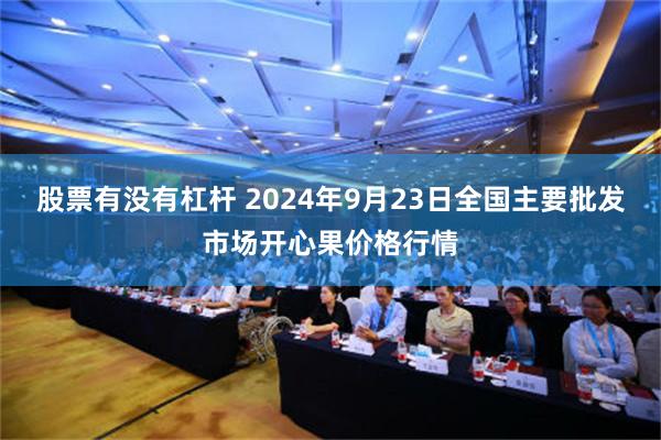 股票有没有杠杆 2024年9月23日全国主要批发市场开心果价格行情