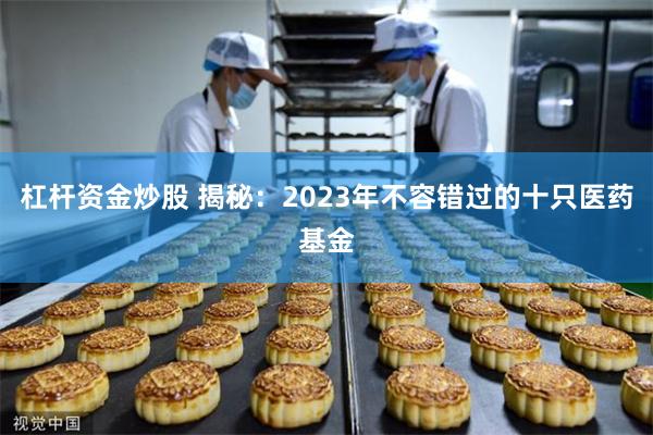 杠杆资金炒股 揭秘：2023年不容错过的十只医药基金