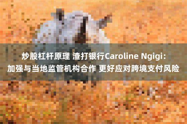 炒股杠杆原理 渣打银行Caroline Ngigi：加强与当地监管机构合作 更好应对跨境支付风险