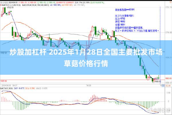 炒股加杠杆 2025年1月28日全国主要批发市场草菇价格行情