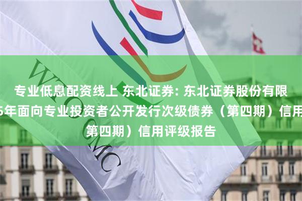 专业低息配资线上 东北证券: 东北证券股份有限公司2025年面向专业投资者公开发行次级债券（第四期）信用评级报告